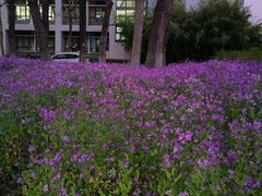 -东华大学(松江校区)