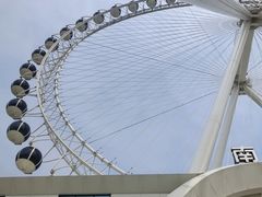 -南戴河国际娱乐中心