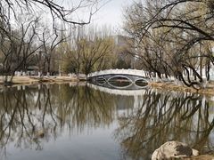 -青城公园