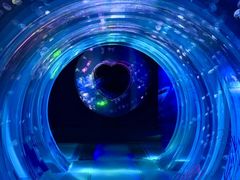 -海合安成都极地海洋公园