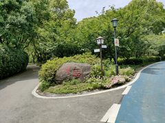 -新洲生态园