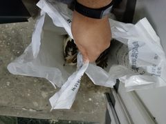 -武汉紫薇都市田园