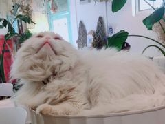 -小时光咖啡馆(北锣鼓巷店)
