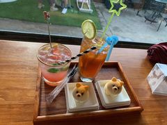 -柴犬高等学院·狗咖·柴犬售卖·宠物训练