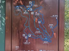 -大屏嶂森林公园