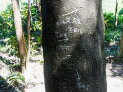 -黄埔油麻山森林公园