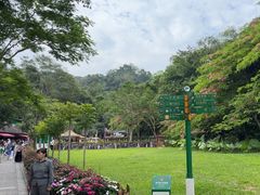 -野象谷景区