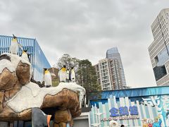 -海合安成都极地海洋公园