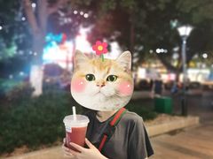-伏小桃(明瓦廊店)