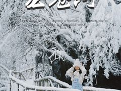 -龙苍沟森林公园