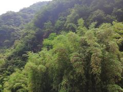 -神龙峡风景区