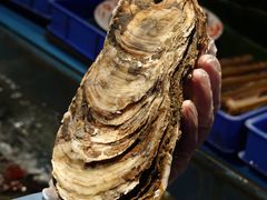 -辉记炭烧海鲜大排档·老字号(福田店)