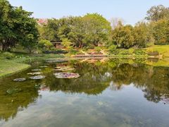 -云溪植物园