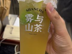 -雾与山茶(大禹城店)