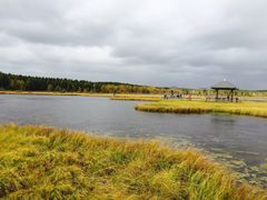 -塞罕坝国家级自然保护区