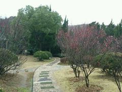 android_upload_pic-香雪海