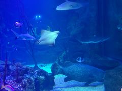 -沈阳海洋探索中心