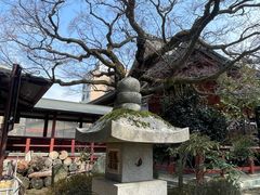 -医王山·飞騨国分寺
