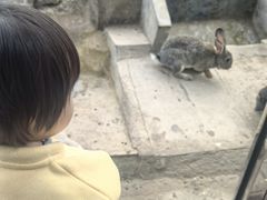 -呀路古热带植物园
