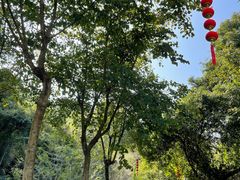 -广州白江湖森林公园