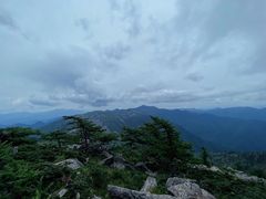 -秦岭风景区