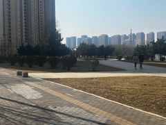 -长白岛森林公园