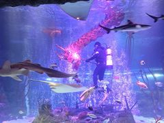 -沈阳海洋探索中心