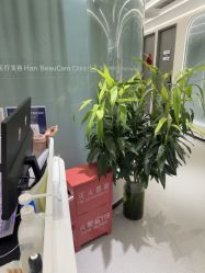 -联合丽格·张菡丽格医疗美容