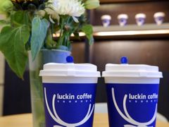 -瑞幸咖啡(蚌埠凤凰国际店)