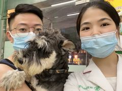 -瑞派动物医院·猫专科·至诚(江南中分院)