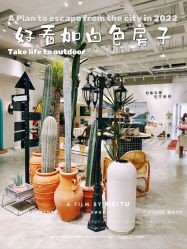 -好看加白色房子