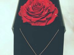 -ROSEONLY诺誓(国际广场购物中心店)