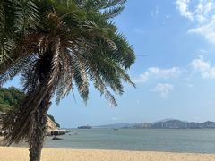 -鼓浪屿钢琴博物馆