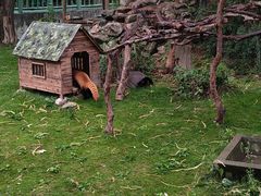 -西安秦岭野生动物园