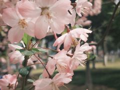 -西北湖绿化广场