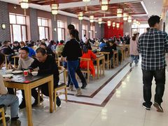 大堂-东北农业大学饺子园