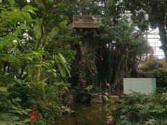 -祥源·阜阳生态乐园