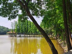 -西樵山风景名胜区-天湖公园