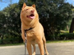 -爱侣宠医·鹦鹉专科·小型哺乳类·异宠专科(灵石路店)