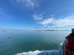 -海驴岛(荣成市)