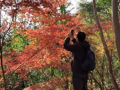 -紫金山山顶公园