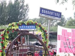 -白洋淀景区