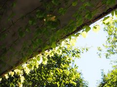 -时光花园(白鹭洲店)