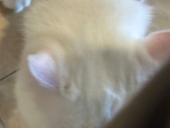 -桂湘缘卤味螺蛳粉