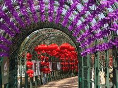 -杭州湾海上花田景区