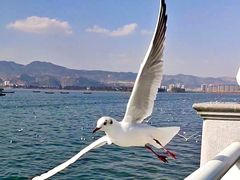 -海埂大坝