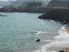 -枸杞岛