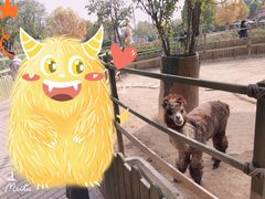 -石家庄市动物园