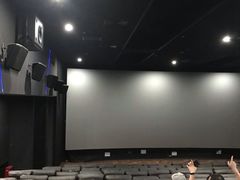 -大光明丽星VIP影城(昌里路杜比全景声店)
