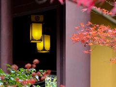 -慧因高丽寺